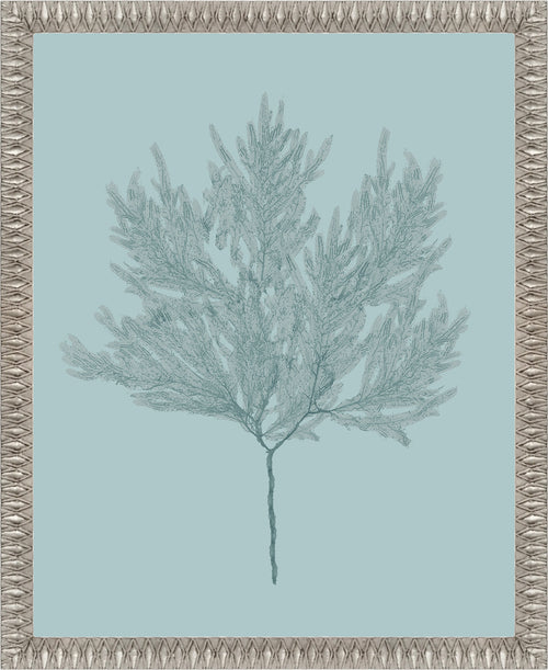 Martha Stewart Lily Pond | Coastal Botanical: Sea Glass II | Framed Coastal Cottage Wall Art