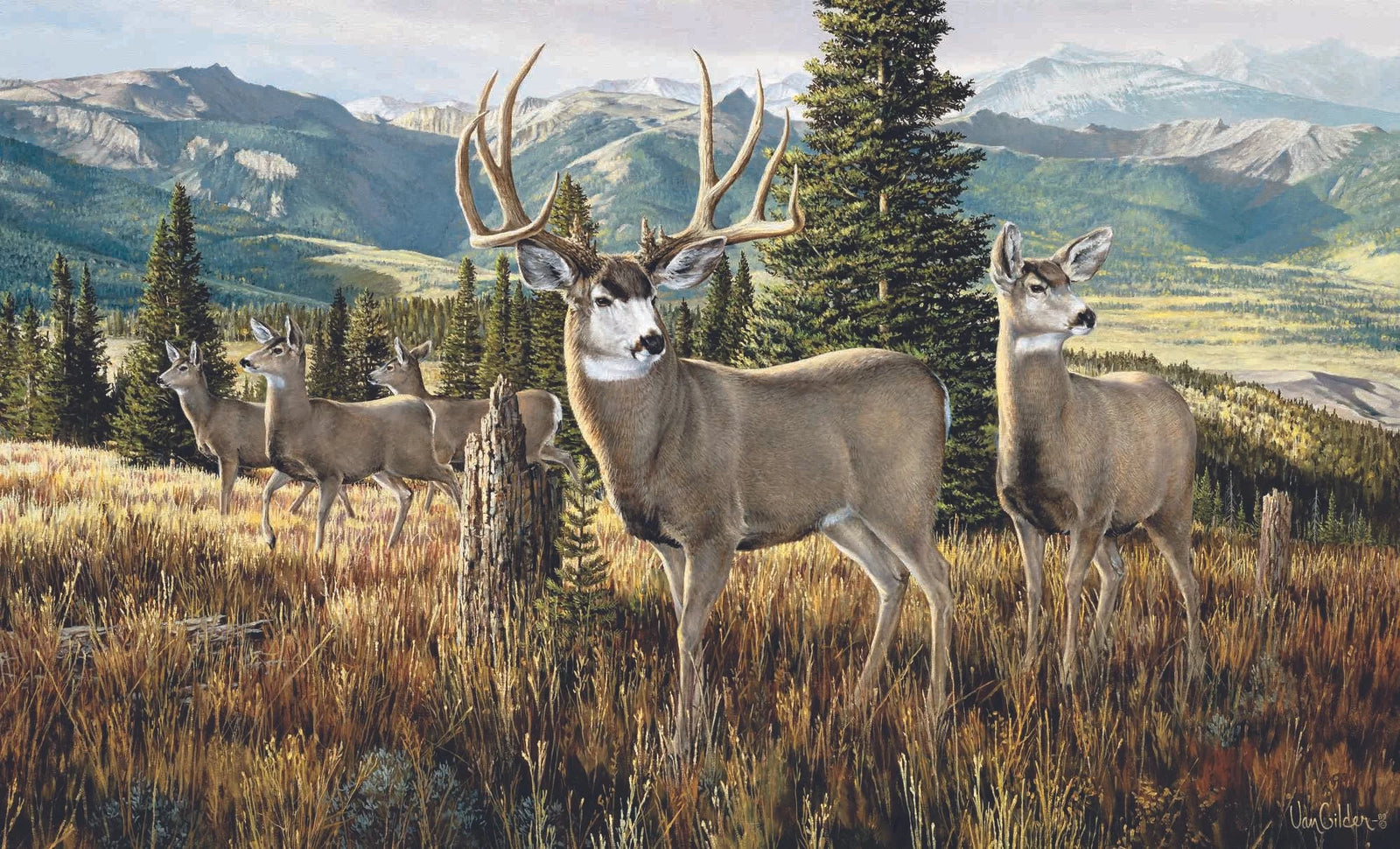 Moving Up Mule Deer - Ron Van Gilder