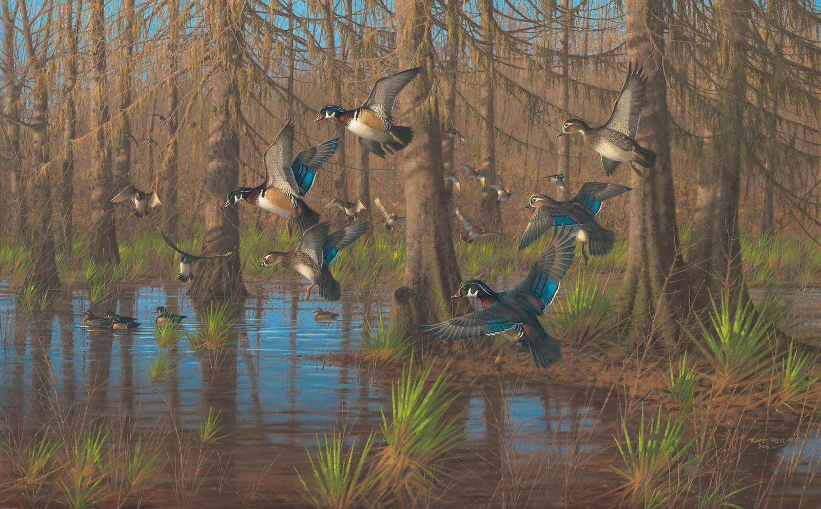 Party Time Wood Ducks - Michael Sieve