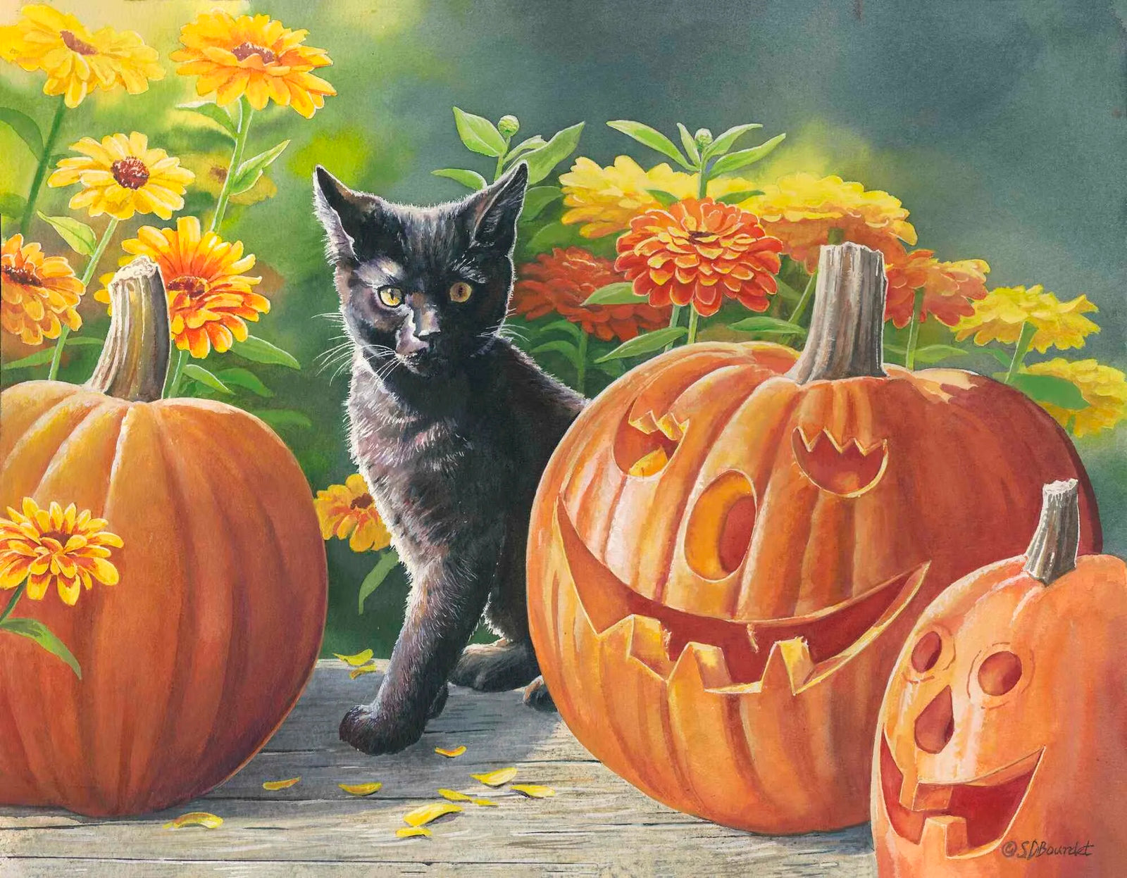 Spooky Kitten - Susan Bourdet
