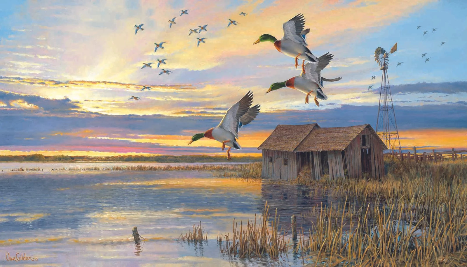 Their Home Again Mallards - Ron Van Gilder