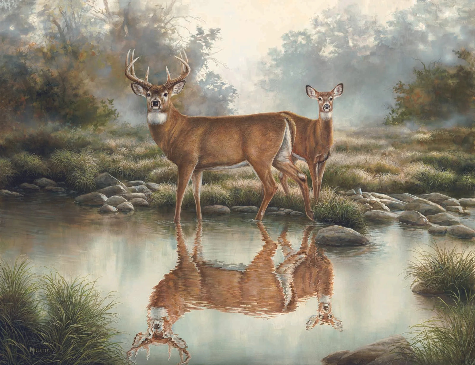 Tranquil Waters - Rosemary Millette