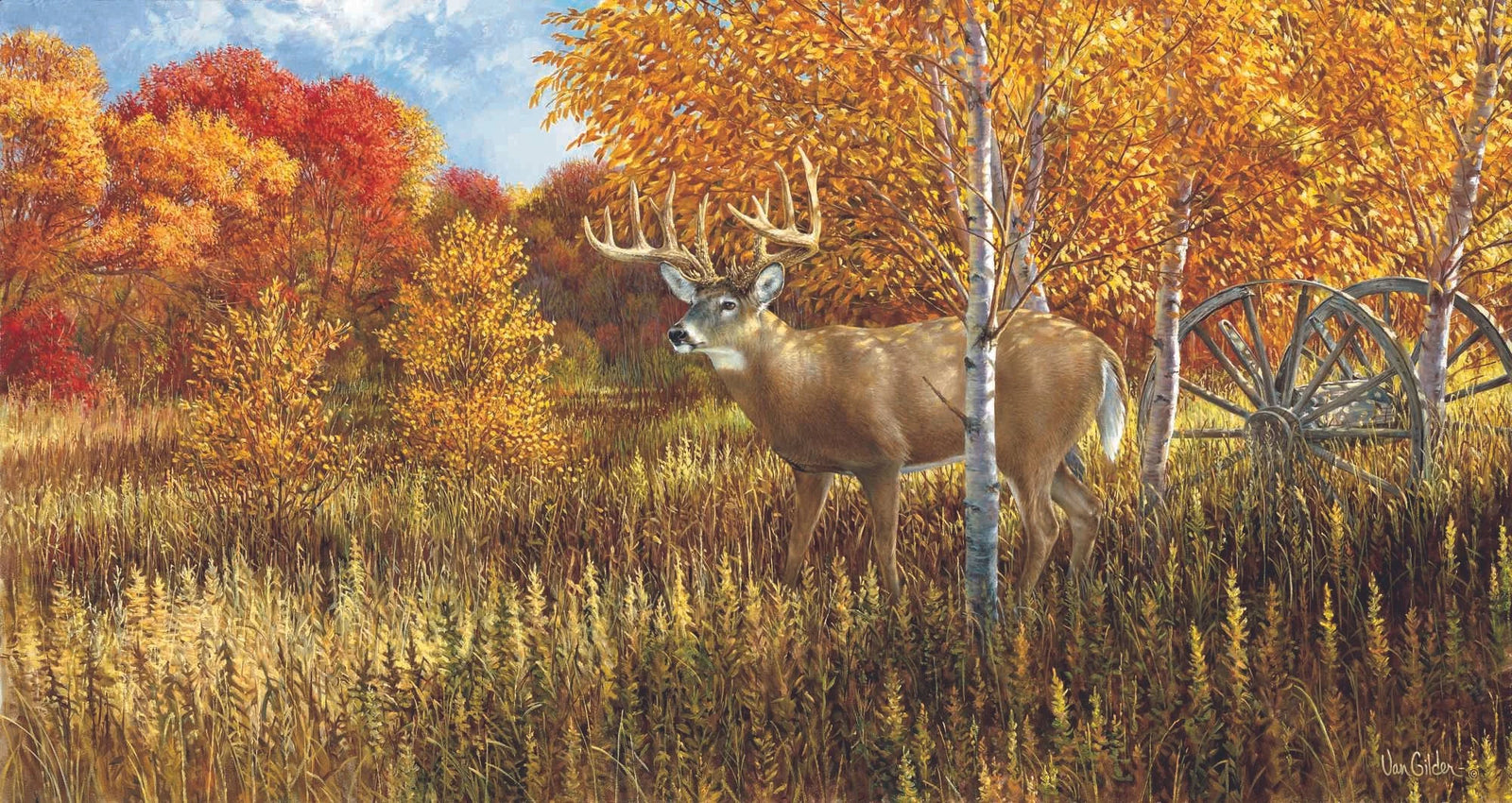 When color is King Whitetail Deer - Ron Van Gilder