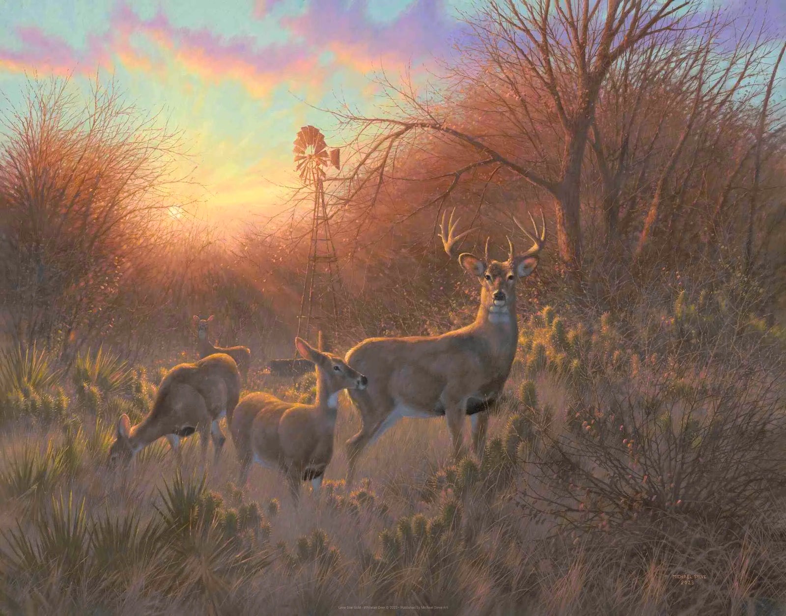 Whitetail Deer - Michael Sieve