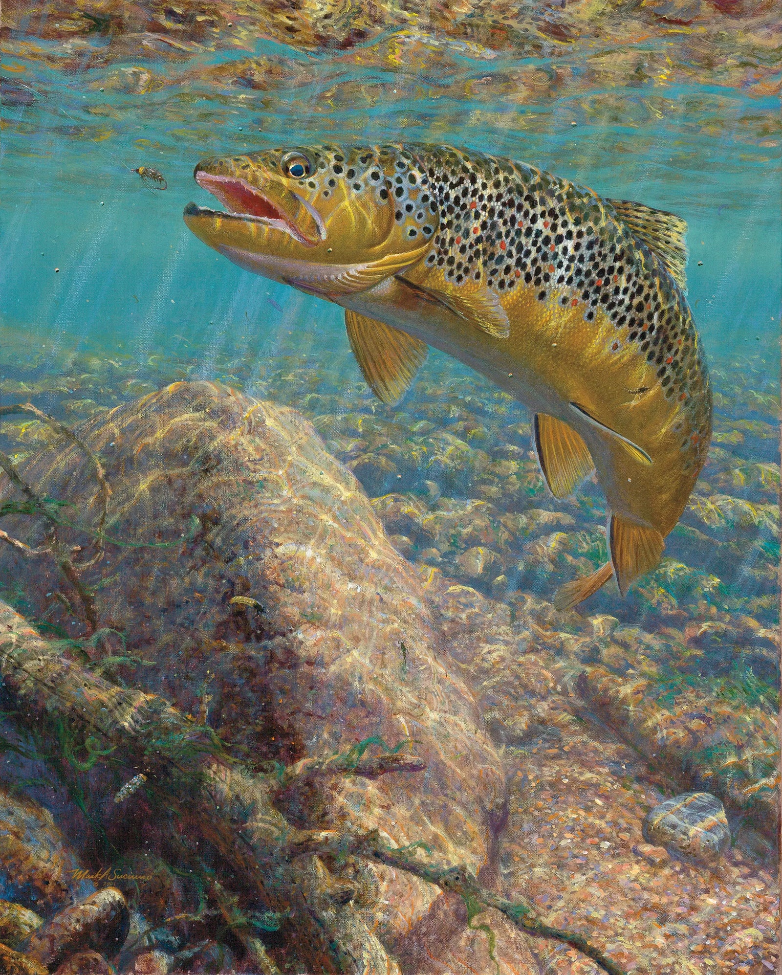 Bad Decision - Brown Trout - Mark Susinno