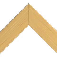 Brushed Gold (Art Print)