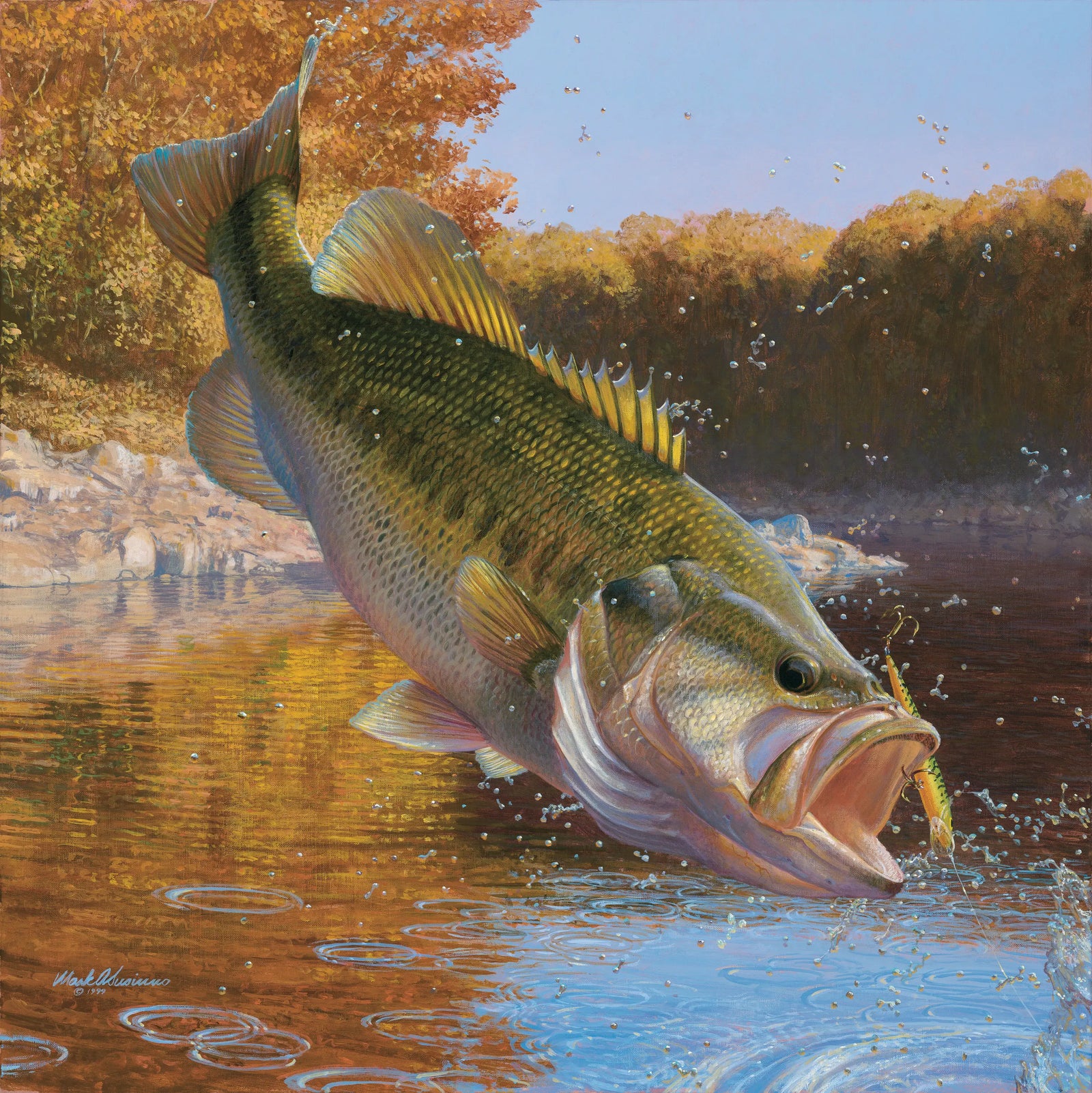 Cartwheeling - Largemouth Bass - Mark Susinno