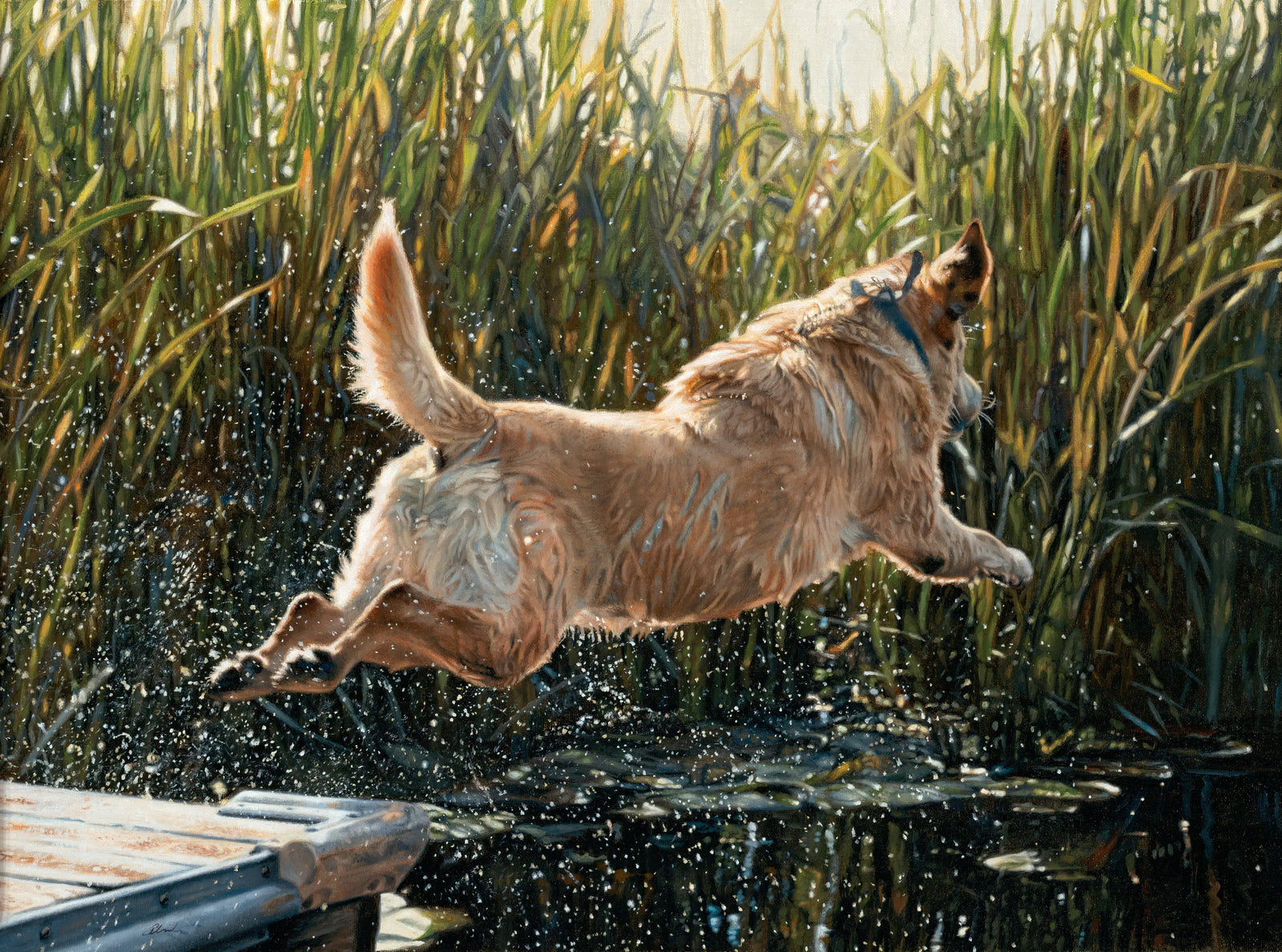 Dog Days - Yellow Lab - John Aldrich