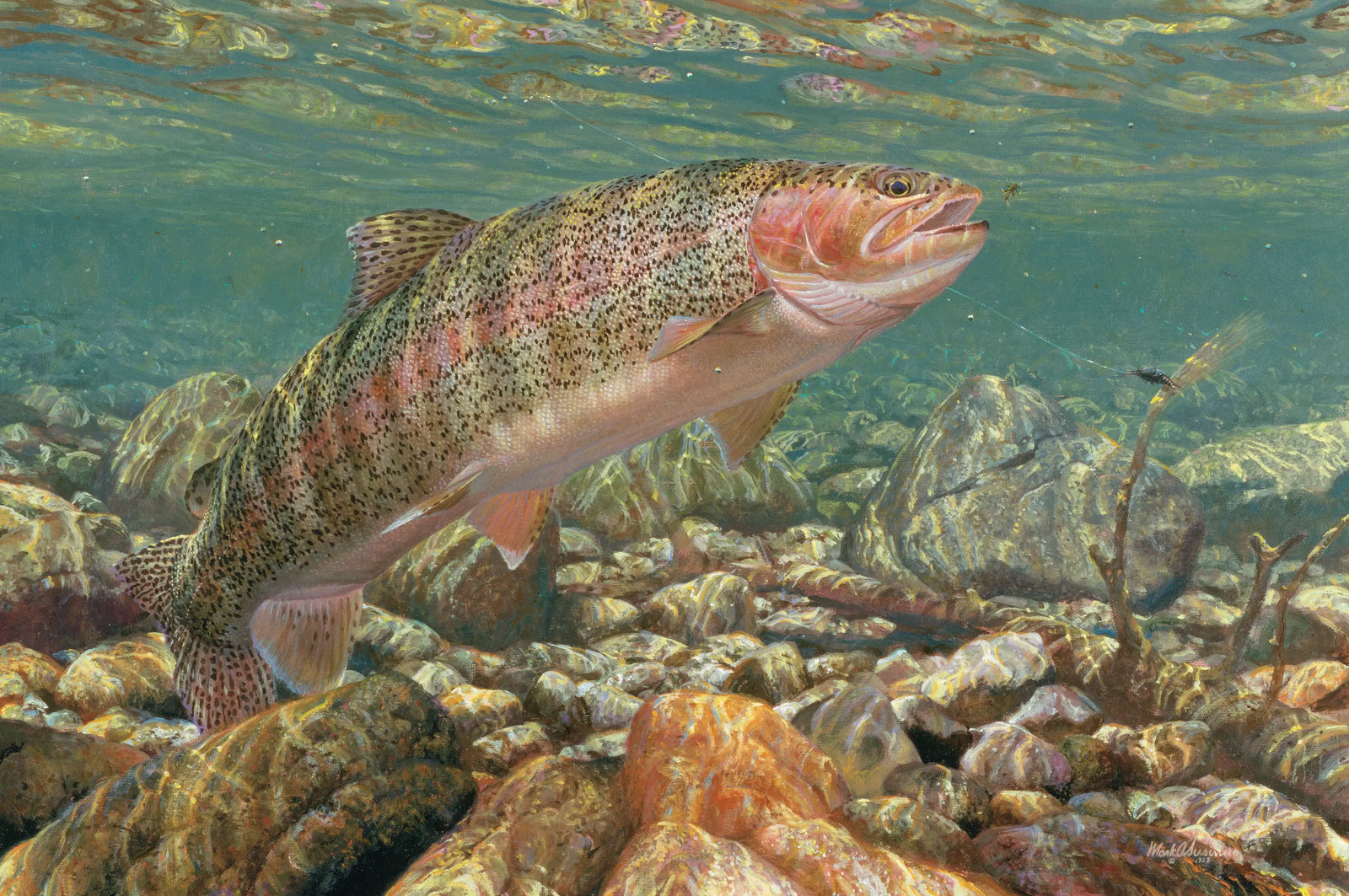 Hang Up Rainbow Trout - Mark Susinno