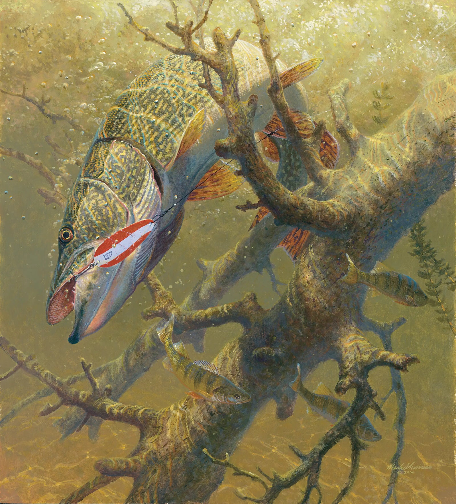 Hung Up - Northern Pike - Mark Susinno