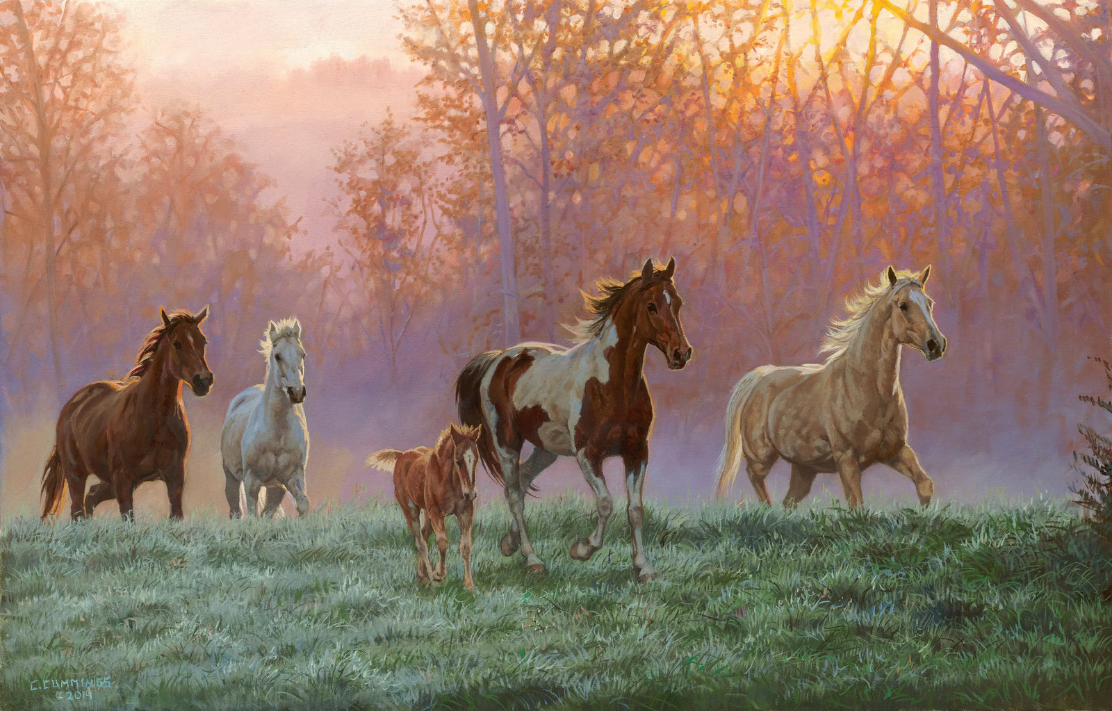 Morning Sun - Chris Cummings