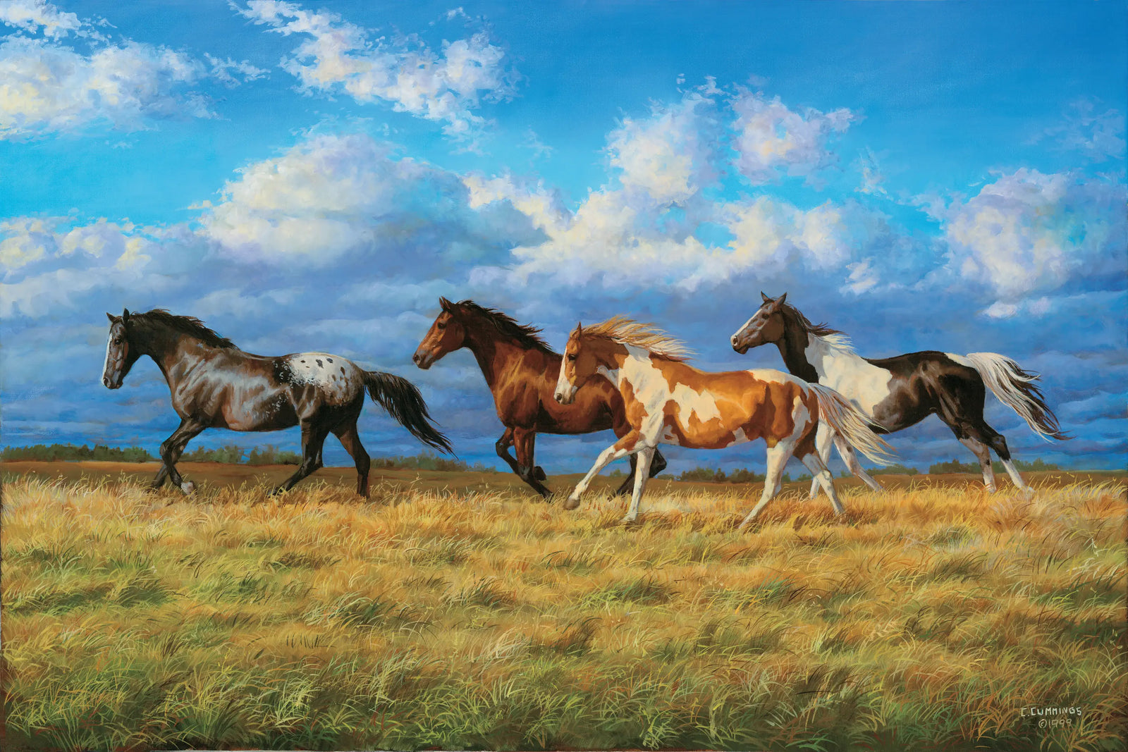 Running Free - Chris Cummings