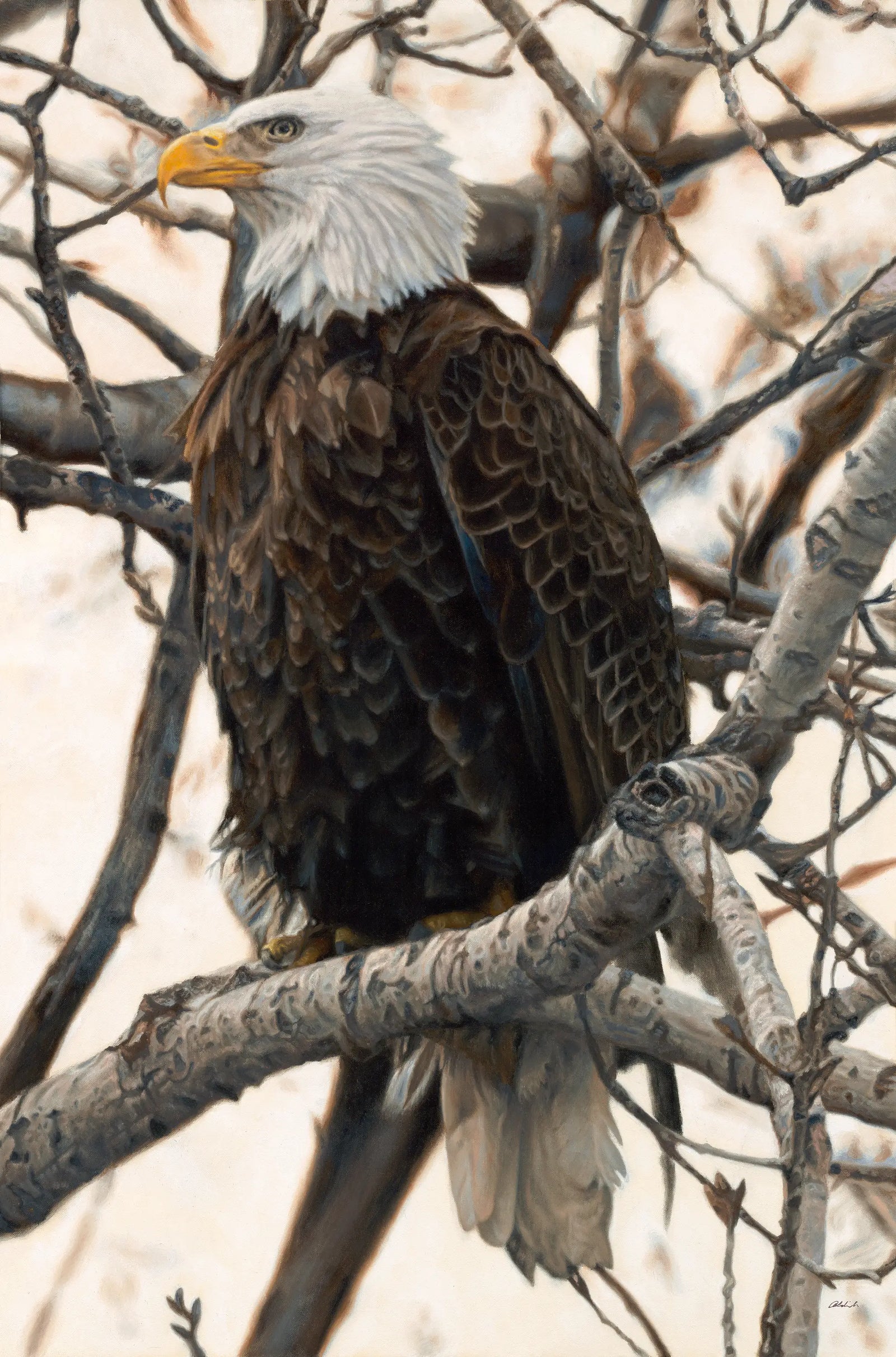 The Sentinel - Eagle - John Aldrich