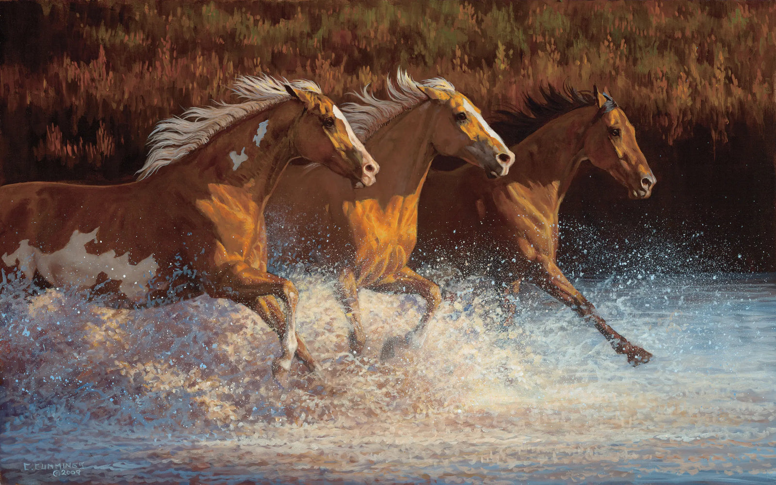 Thundering Water - Horses - Chris Cummings